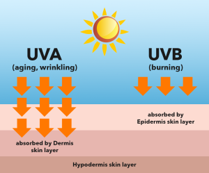 UVA and UVB skin penetration