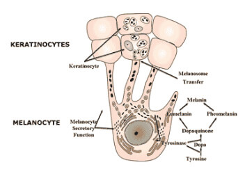 Hyperpigmentation