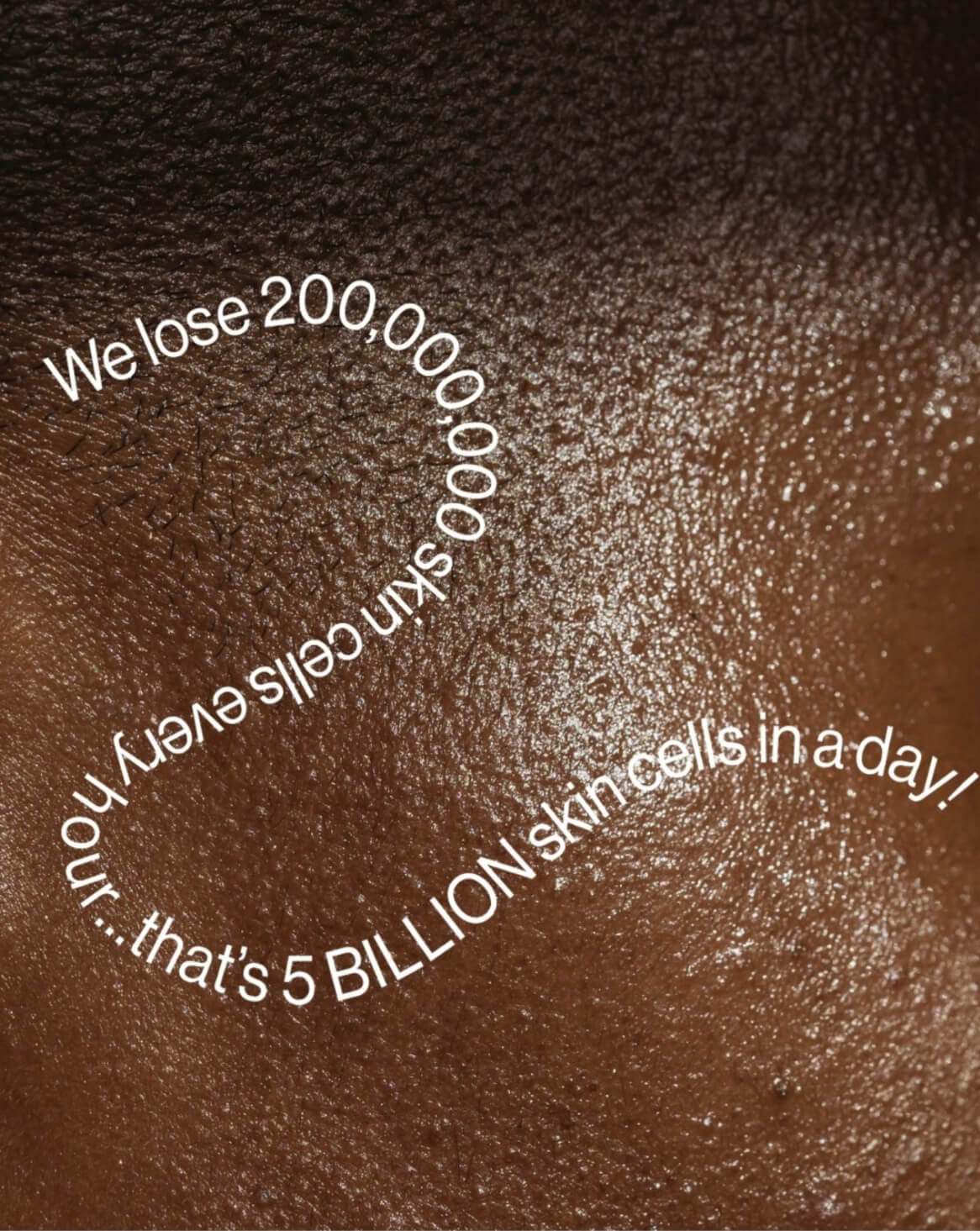 Skin Collagen Synergy - Image 8